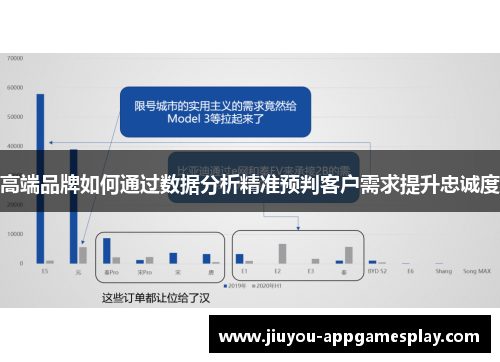高端品牌如何通过数据分析精准预判客户需求提升忠诚度